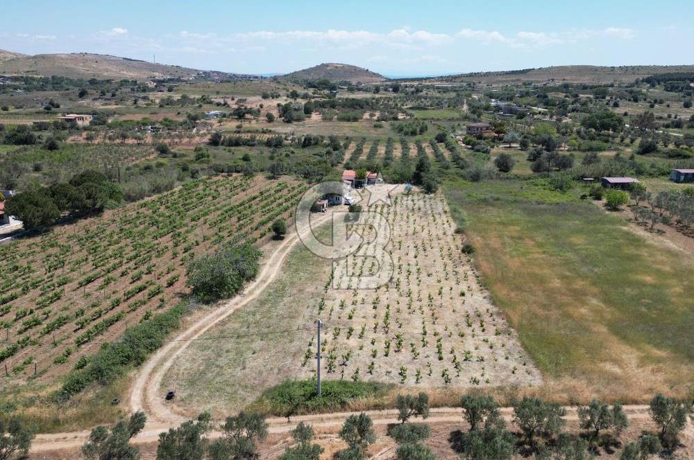BOZCAADA AMERİKAN ÇEŞMESİ MEVKİ SATILIK BAĞ EVİ