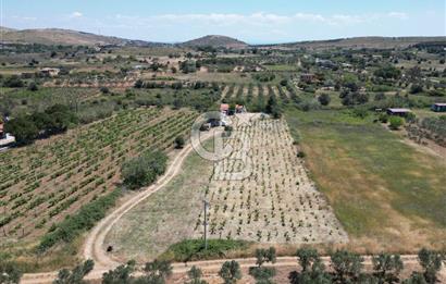 BOZCAADA AMERİKAN ÇEŞMESİ MEVKİ SATILIK BAĞ EVİ