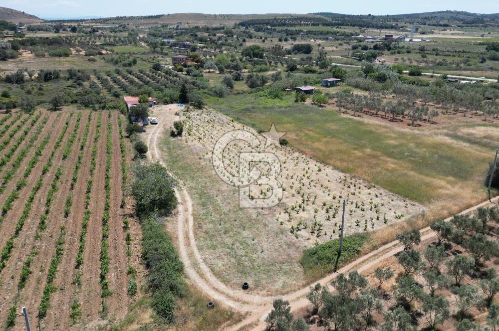 BOZCAADA AMERİKAN ÇEŞMESİ MEVKİ SATILIK BAĞ EVİ