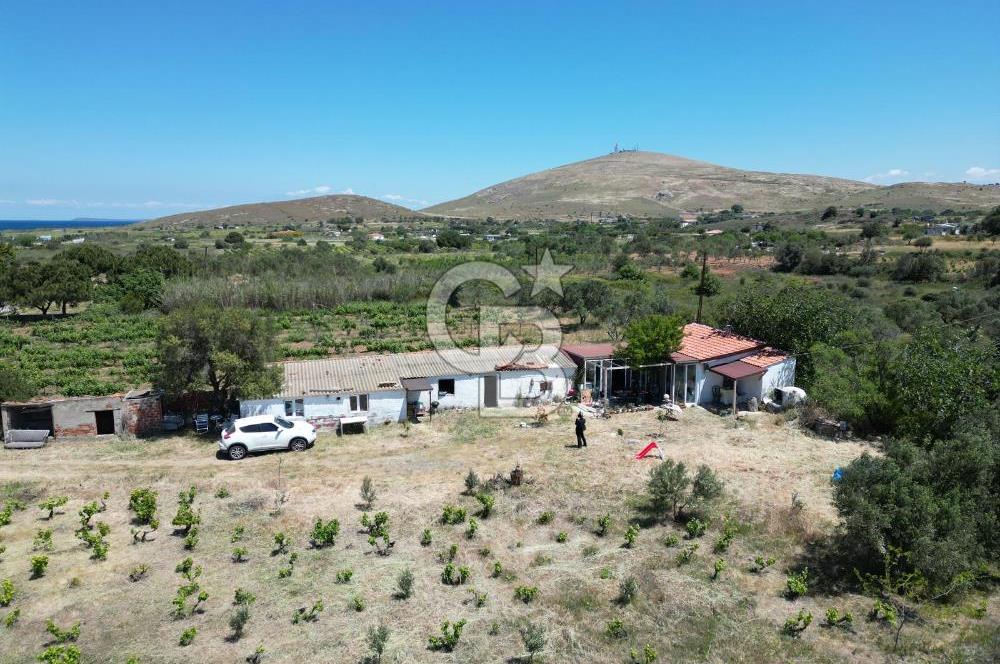 BOZCAADA AMERİKAN ÇEŞMESİ MEVKİ SATILIK BAĞ EVİ