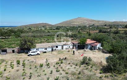BOZCAADA AMERİKAN ÇEŞMESİ MEVKİ SATILIK BAĞ EVİ