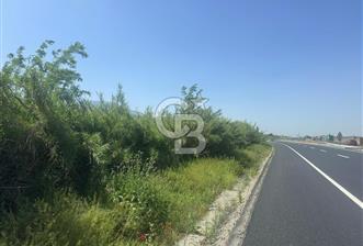 MANİSA - TURGUTLU ANA YOLU ÜZERİ ZEYTİNLİ TARLA