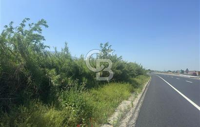 MANİSA ŞEHZADELER KARAOĞLANLI MEVKİİNDE TARLA