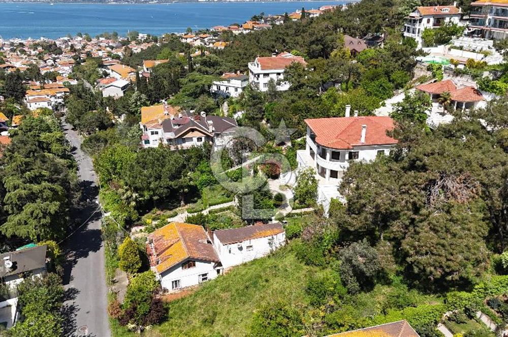 İstanbul büyükadada 2200 m2 7+2 satılık köşk