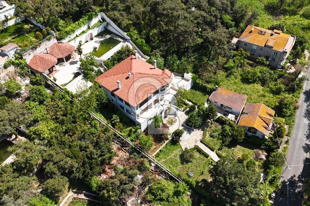 İstanbul büyükadada 2200 m2 7+2 satılık köşk