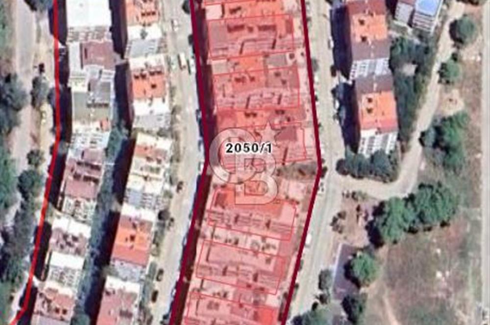 Balıkesir Edremit Zeytinli ikizçayda  6+1 Dubleks Daire