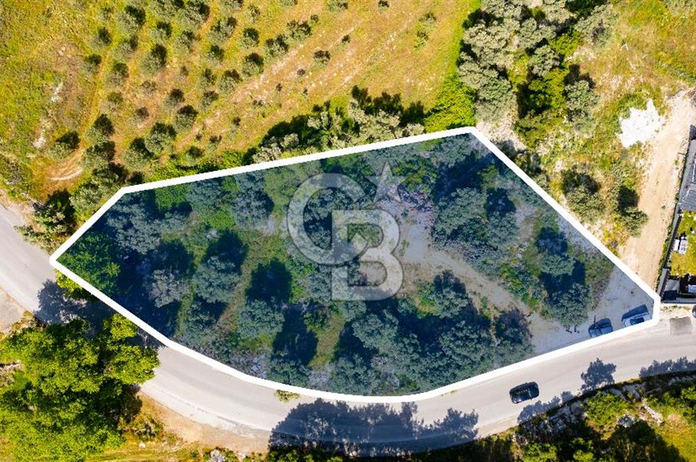 Foça Kozbeyli Ana Yol Üzeri Satılık Tarla