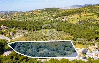Foça Kozbeyli Ana Yol Üzeri Satılık Tarla