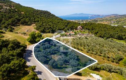 Foça Kozbeyli Ana Yol Üzeri Satılık Tarla