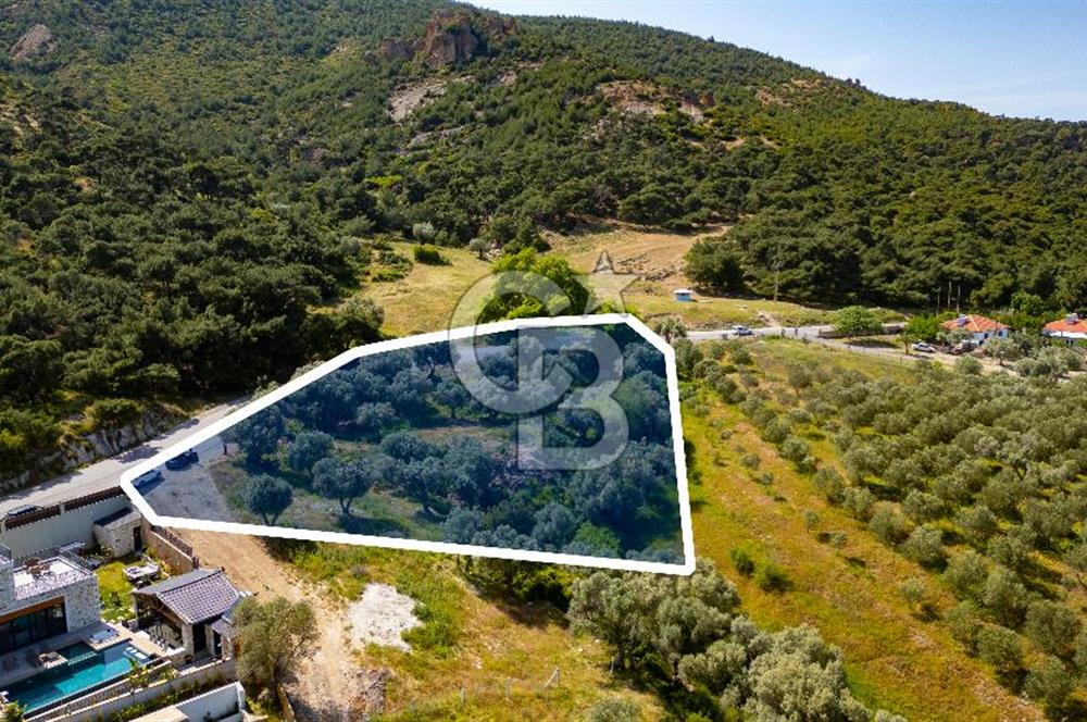 Foça Kozbeyli Ana Yol Üzeri Satılık Tarla