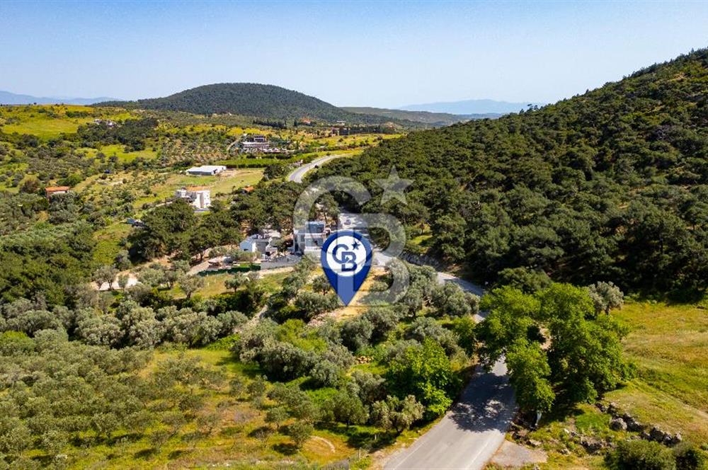 Foça Kozbeyli Ana Yol Üzeri Satılık Tarla