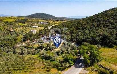 Foça Kozbeyli Ana Yol Üzeri Satılık Tarla