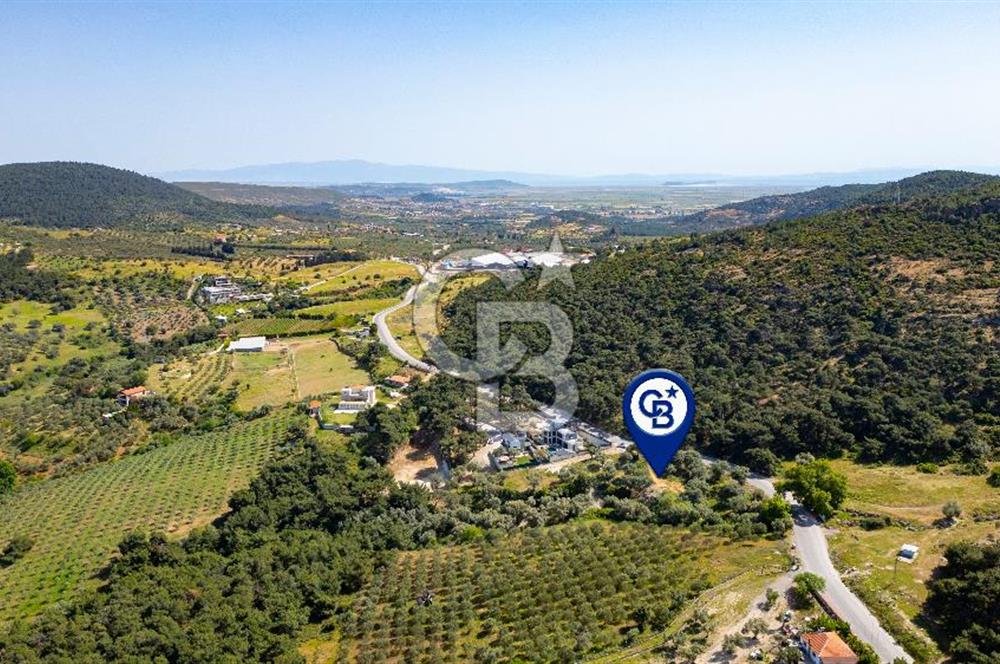 Foça Kozbeyli Ana Yol Üzeri Satılık Tarla
