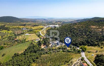 Foça Kozbeyli Ana Yol Üzeri Satılık Tarla