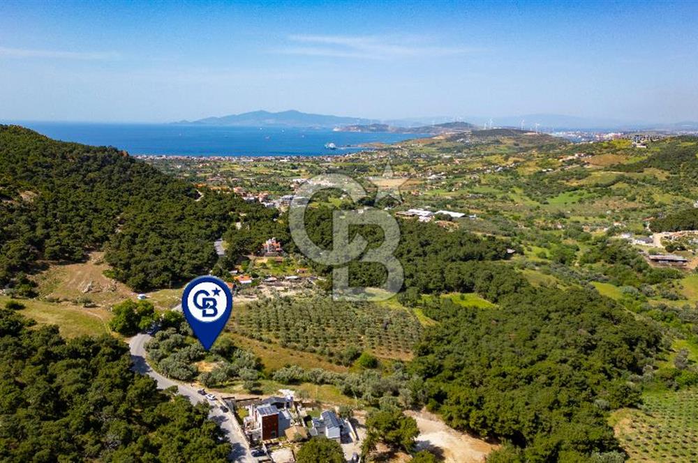 Foça Kozbeyli Ana Yol Üzeri Satılık Tarla
