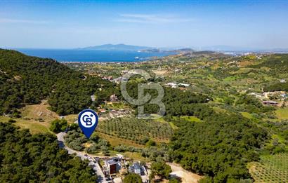 Foça Kozbeyli Ana Yol Üzeri Satılık Tarla