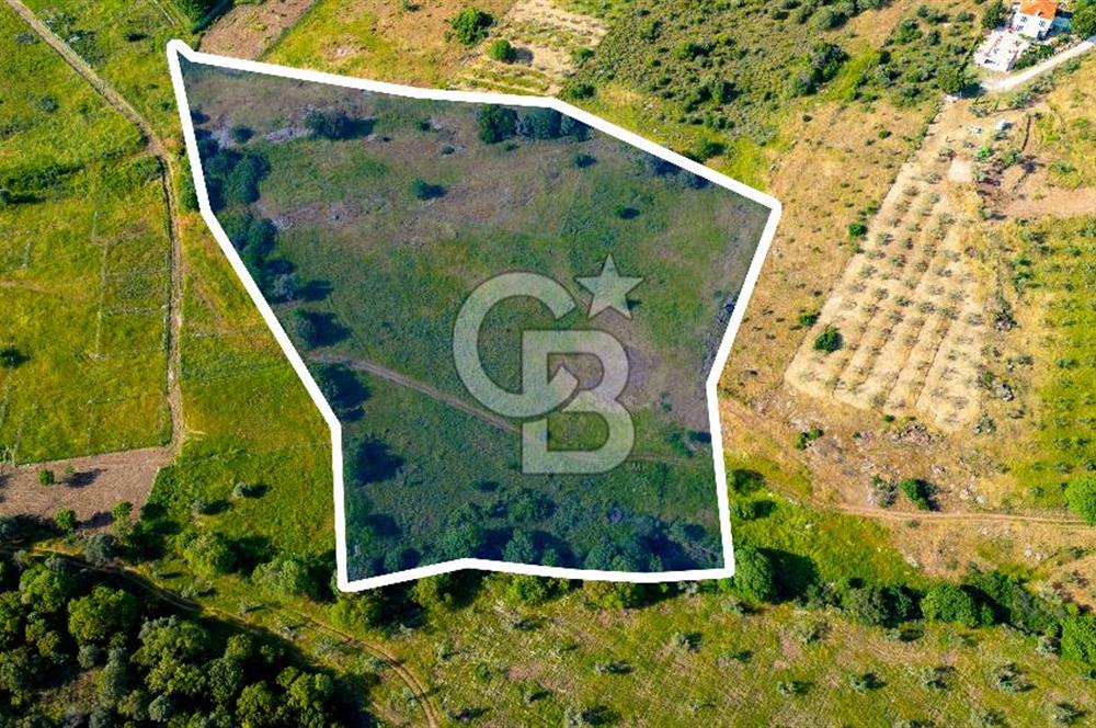 Foça Yenibağarası'nda Satılık Tarla