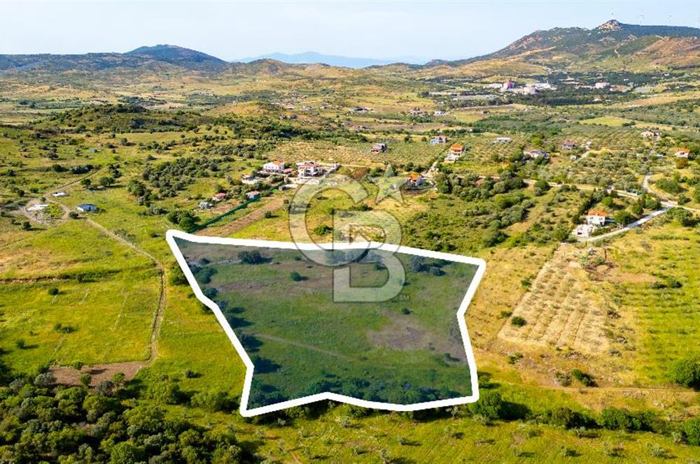 Foça Yenibağarası'nda Satılık Tarla