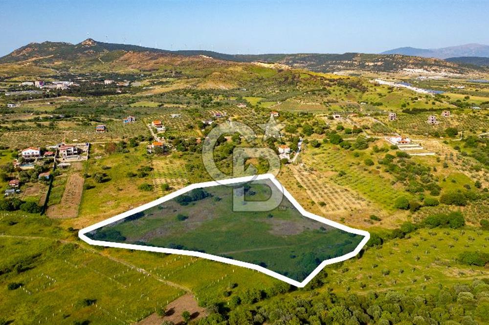 Foça Yenibağarası'nda Satılık Tarla