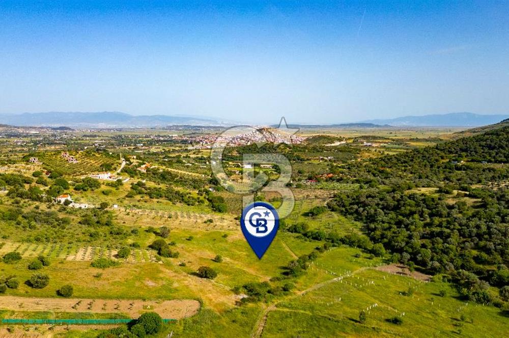 Foça Yenibağarası'nda Satılık Tarla