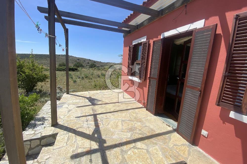 BOZCAADA PAPAZBAHÇE'DE 2.5 DÖNÜM BAHÇE İÇİNDE SATILIK BAĞ EVİ