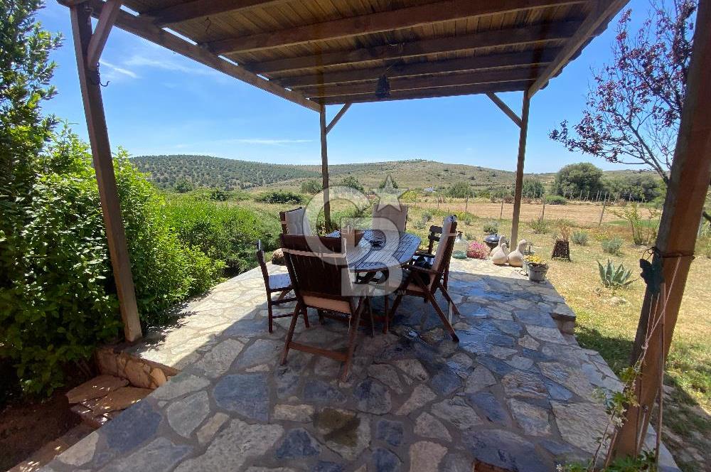 BOZCAADA PAPAZBAHÇE'DE 2.5 DÖNÜM BAHÇE İÇİNDE SATILIK BAĞ EVİ