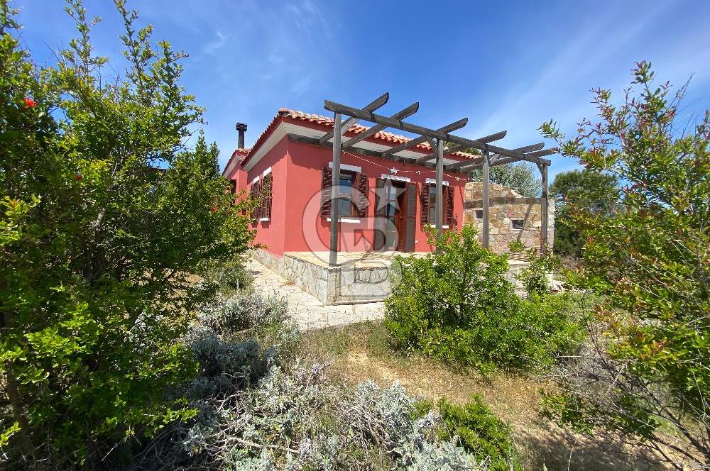 BOZCAADA PAPAZBAHÇE'DE 2.5 DÖNÜM BAHÇE İÇİNDE SATILIK BAĞ EVİ