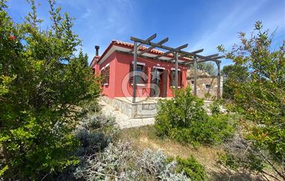 BOZCAADA PAPAZBAHÇE'DE 2.5 DÖNÜM BAHÇE İÇİNDE SATILIK BAĞ EVİ
