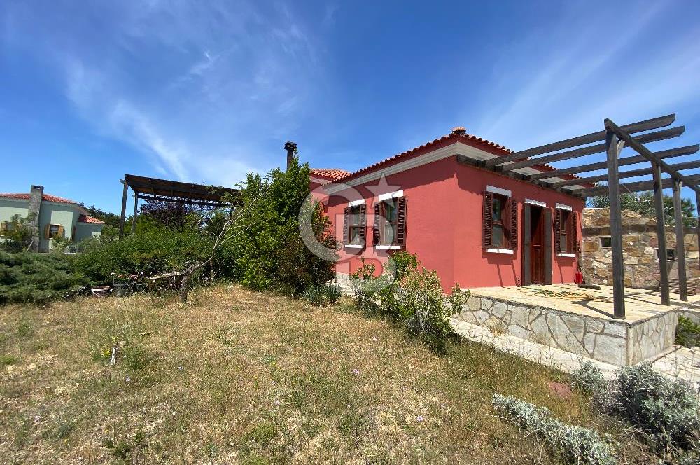 BOZCAADA PAPAZBAHÇE'DE 2.5 DÖNÜM BAHÇE İÇİNDE SATILIK BAĞ EVİ