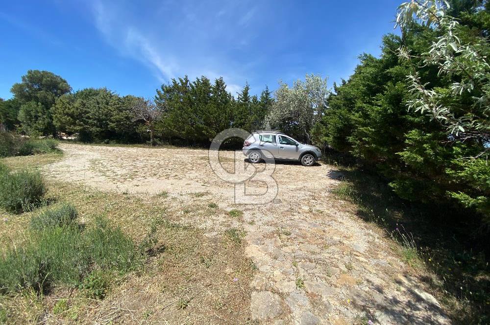 BOZCAADA PAPAZBAHÇE'DE 2.5 DÖNÜM BAHÇE İÇİNDE SATILIK BAĞ EVİ