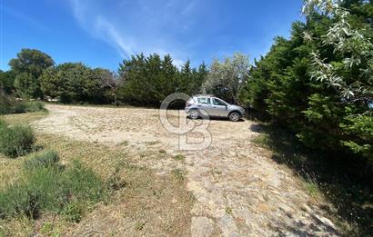 BOZCAADA PAPAZBAHÇE'DE 2.5 DÖNÜM BAHÇE İÇİNDE SATILIK BAĞ EVİ