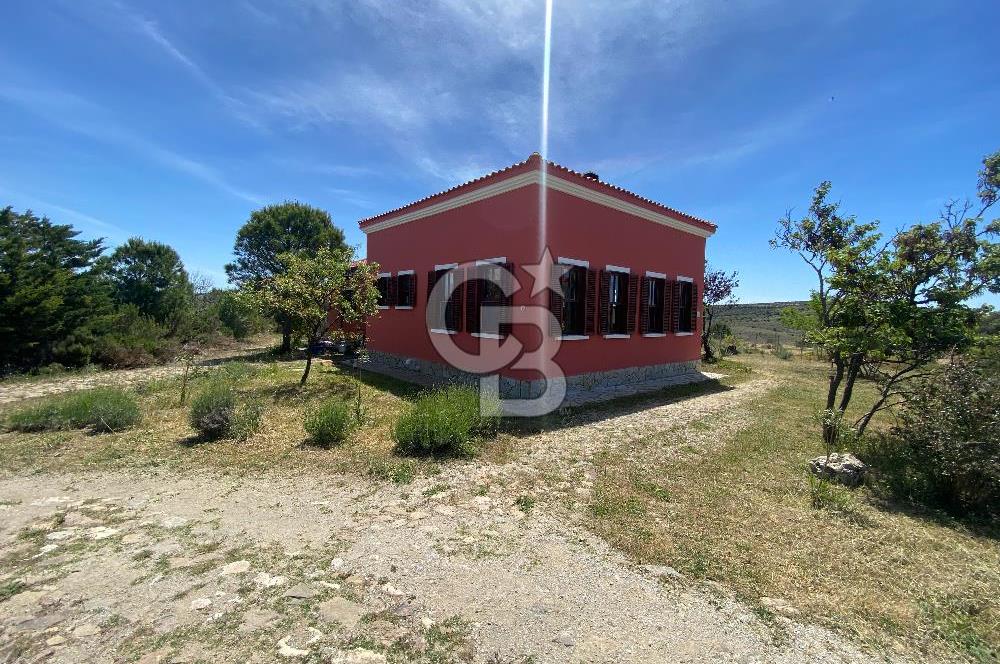 BOZCAADA PAPAZBAHÇE'DE 2.5 DÖNÜM BAHÇE İÇİNDE SATILIK BAĞ EVİ