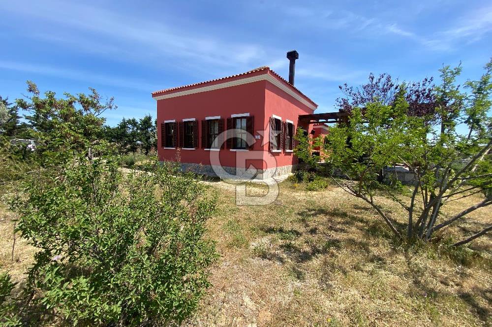 BOZCAADA PAPAZBAHÇE'DE 2.5 DÖNÜM BAHÇE İÇİNDE SATILIK BAĞ EVİ