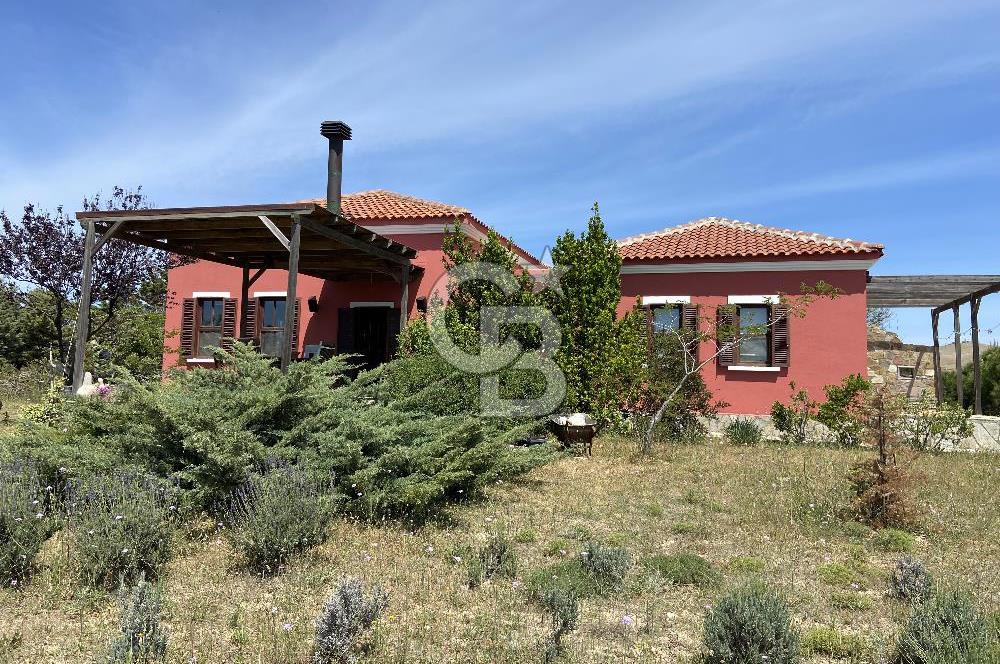 BOZCAADA PAPAZBAHÇE'DE 2.5 DÖNÜM BAHÇE İÇİNDE SATILIK BAĞ EVİ