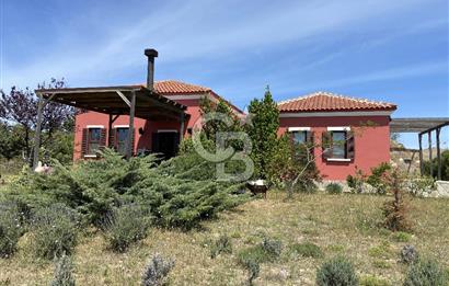 BOZCAADA PAPAZBAHÇE'DE 2.5 DÖNÜM BAHÇE İÇİNDE SATILIK BAĞ EVİ