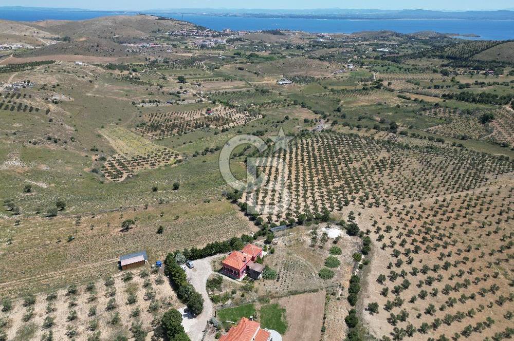 BOZCAADA PAPAZBAHÇE'DE 2.5 DÖNÜM BAHÇE İÇİNDE SATILIK BAĞ EVİ