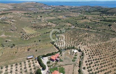 BOZCAADA PAPAZBAHÇE'DE 2.5 DÖNÜM BAHÇE İÇİNDE SATILIK BAĞ EVİ