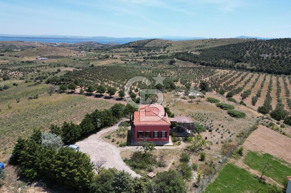 BOZCAADA PAPAZBAHÇE'DE 2.5 DÖNÜM BAHÇE İÇİNDE SATILIK BAĞ EVİ
