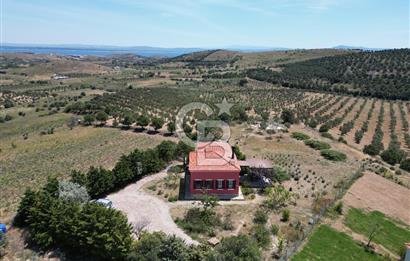 BOZCAADA PAPAZBAHÇE'DE 2.5 DÖNÜM BAHÇE İÇİNDE SATILIK BAĞ EVİ