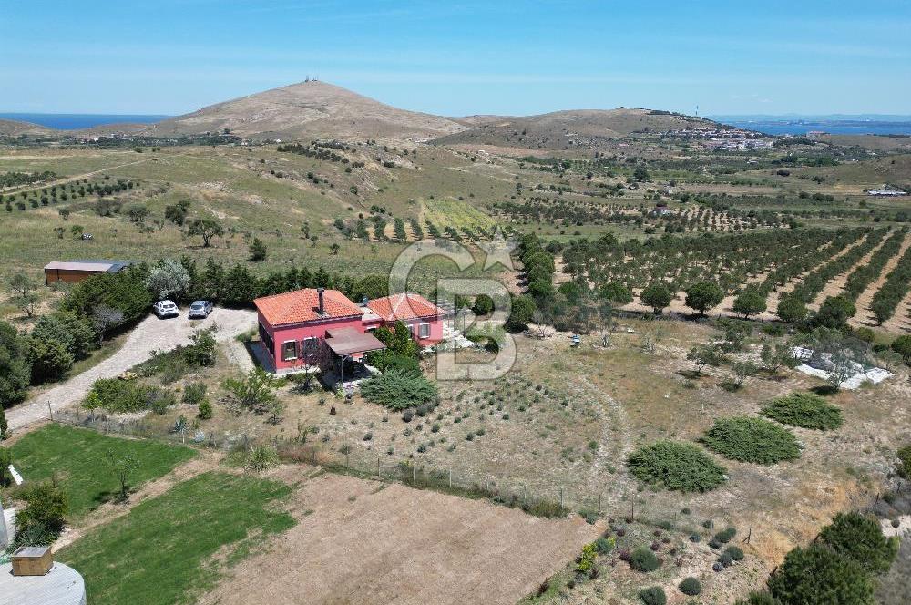 BOZCAADA PAPAZBAHÇE'DE 2.5 DÖNÜM BAHÇE İÇİNDE SATILIK BAĞ EVİ