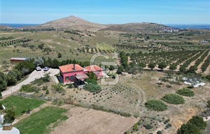 BOZCAADA PAPAZBAHÇE'DE 2.5 DÖNÜM BAHÇE İÇİNDE SATILIK BAĞ EVİ