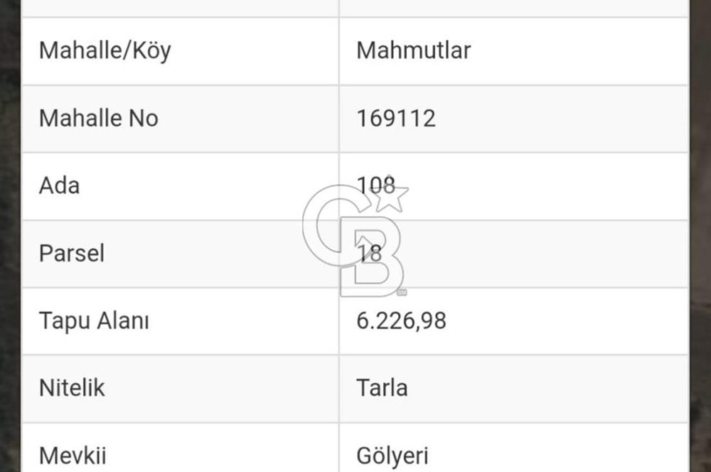 İzmir Tire Mahmutlar da Satılık Tarla 