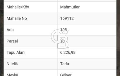 İzmir Tire Mahmutlar da Satılık Tarla 