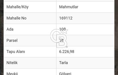 İzmir Tire Mahmutlar da Satılık Tarla 