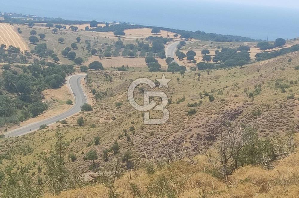 ÇANAKKALE AYVACIK'TA KOOPERATİF HİSSESİ - İMAR SÜRECİNDE -YATIRIM FIRSATI