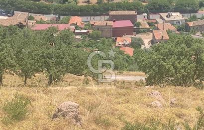 ÇANAKKALE AYVACIK'TA KOOPERATİF HİSSESİ - İMAR SÜRECİNDE -YATIRIM FIRSATI