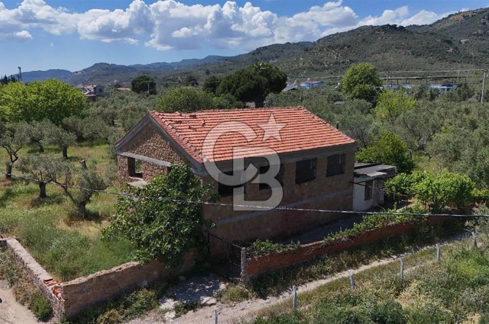 AYVACIK - AHMETÇE DENİZE SIFIR ZEYTİNLİK -TAŞ EV