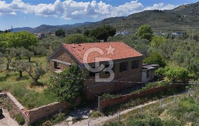 AYVACIK - AHMETÇE DENİZE SIFIR ZEYTİNLİK -TAŞ EV