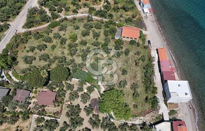 AYVACIK - AHMETÇE DENİZE SIFIR ZEYTİNLİK -TAŞ EV