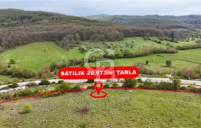 CB AMBIANCE'DAN MKP'DA 26.673m2 ÇİFTLİK İÇİN UYGUN KÖY İÇİ BAHÇE
